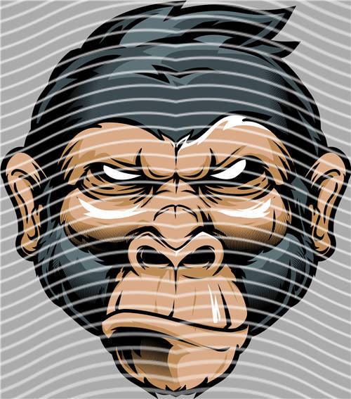 Street design-JT 4943